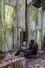 Makatea Island &ndash; Rugged Raised Atoll of French Polynesia