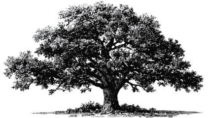 Oak Tree Vector Drawing with Inspirational Quote - Nature Artwork for Design Projects