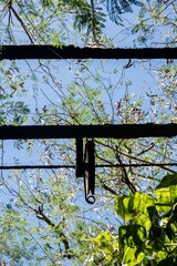 Makatea Island &ndash; Rugged Raised Atoll of French Polynesia