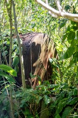 Makatea Island &ndash; Rugged Raised Atoll of French Polynesia