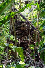 Makatea Island &ndash; Rugged Raised Atoll of French Polynesia