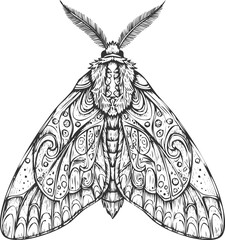 Intricate butterfly design monochrome engraving art transparent and eps