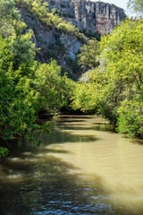 Rusenski Lom River Flowing Through Forested Canyon