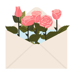 Soft pink roses in a postal envelope. Vector illustration on a white background.