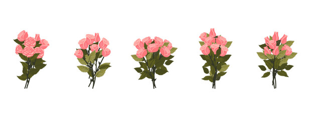 A bouquet of light pink roses. A small set of lush bouquets for your design. Vector illustration on a white background.