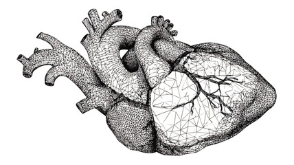 Heart Vector Illustration with Outline on White Background