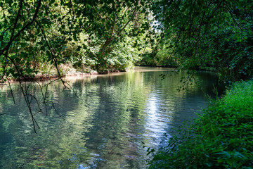 Calm Forest River in Rusenski Lom Nature Park