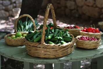 Baskets of Fresh Organic Vegetables