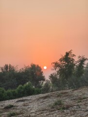Grainy Sunset over Hillside and Trees with Long Shadows