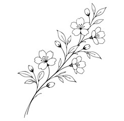 Black and White Flowering Branch Illustration with Blossoms, Buds and Leaves