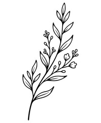 Black and White Botanical Line Drawing with Branch, Leaves and Buds