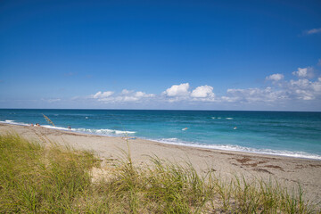Fototapeta premium Visiting Coral Cove Park in Jupiter, Florida