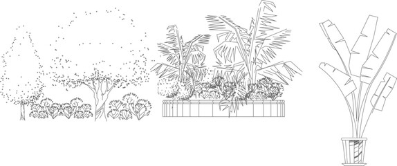 Obraz premium Vector line art set of garden plants and tropical trees. Minimalist sketches of palms and shrubs for landscape design and outdoor planning projects.