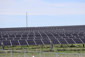 A solar panel farm, rows and rows of solar panels installed to produce renewable energy. The electricity generated is distributed into the system