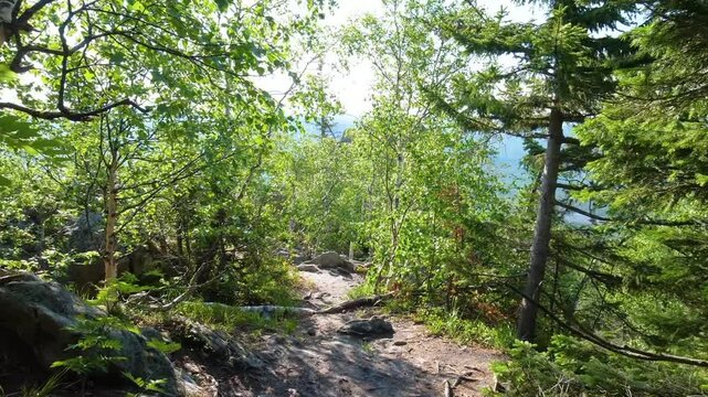 A sunny day view of a rugged, boulder-strewn forest trail on Catamount Mountain, an Adirondack peak known for its short, steep, and scenic climb through lush green trees and natural rock formations in