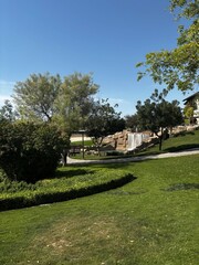 Fototapeta premium A serene park landscape with a small waterfall, lush green grass, trees, and a bright blue sky on a sunny day.