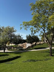 Fototapeta premium Sunny day in a park with green grass, trees, a small waterfall, and walkways. Blue sky above.