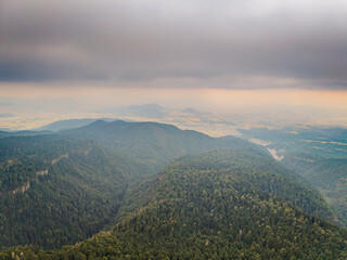 Paisaje boscoso en el Parque Nacional Izta-Popo, M&eacute;xico.