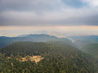 Paisaje boscoso en el Parque Nacional Izta-Popo, M&eacute;xico.