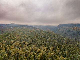 Paisaje boscoso en el Parque Nacional Izta-Popo, M&eacute;xico.