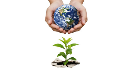 A person holding a blue globe in their hands represents a global business concept for environment protection and nature care