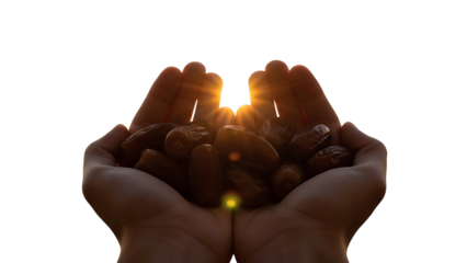 Two hands holding dark gourmet chocolates and coffee over a white background create a delicious sweet dessert snack for a tasty Valentine holiday filled with love and cocoa