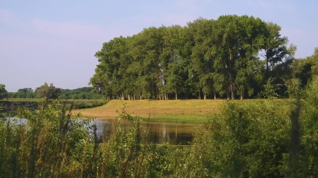 A tranquil natural landscape featuring a calm body of water in the foreground, a grassy bank, and a line of lush green trees under a clear sky. This picturesque scene captures the peaceful beauty of t
