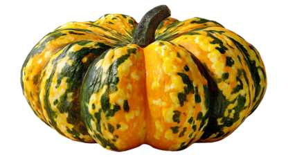 Autumnal Pumpkin: A vibrant, multi-colored pumpkin, capturing the essence of the autumn harvest with its unique textures and tones.