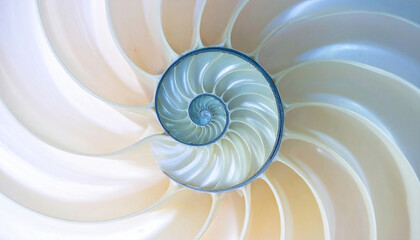 Fototapeta premium Perfectly symmetrical nautilus shell spiral with smooth pastel gradients. Represents golden ratio, sacred geometry, balance, and organic design. Ideal for science, art, and abstract backgrounds.