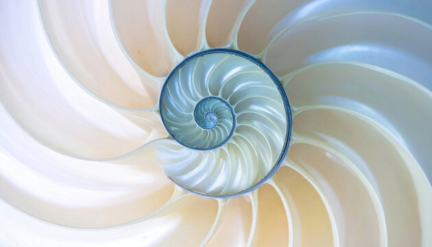 Perfectly symmetrical nautilus shell spiral with smooth pastel gradients. Represents golden ratio, sacred geometry, balance, and organic design. Ideal for science, art, and abstract backgrounds.