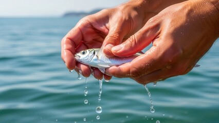 Fisherman hand releasing small fish for sustainable fishing and marine stock conservation practice