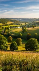 Rolling hills landscape with trees and fields under a blue sky on a sunny day