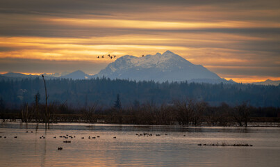 The Fir Island Farm Reserve is a Game Reserve with over 200 acres of restored intertidal estuary and managed agricultural land in southwest Skagit County.