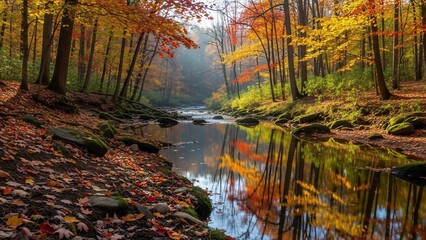 Vibrant Autumn Forest Stream Reflecting Colorful Fall Foliage.