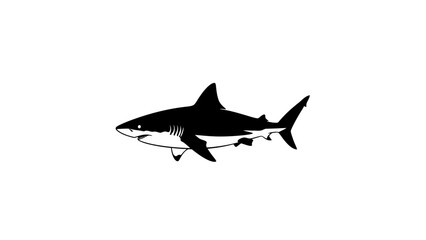 Fototapeta premium A graphic illustration of a shark in black and white on a white background.