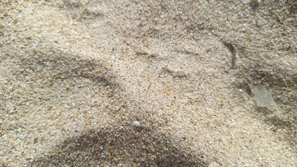 Close-up view of dry beach sand.