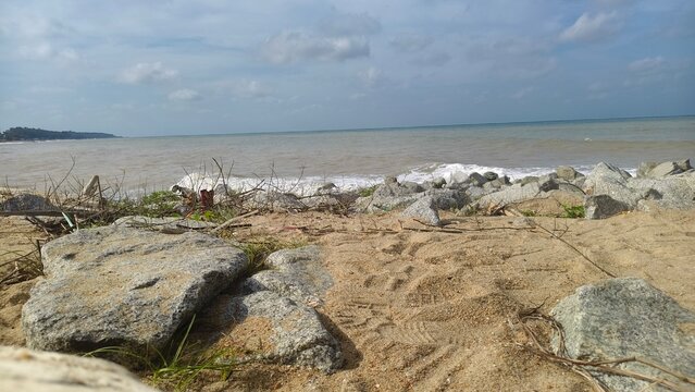 Close-up of weathered driftwood on a sandy beach with breaking waves and rock groins under a cloudy sky