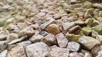 Wide perspective of a gravel-covered ground featuring clusters of white mold and scattered orange brick pieces.