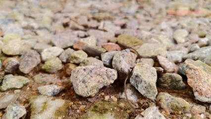 Perspective view of a stony terrain composed of angular, weathered rocks and fine-grained sediments.