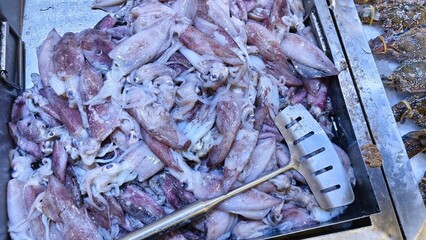 Pile of fresh, whole squids displayed on a metal tray at a seafood market