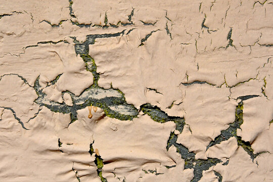 Cracked pain abstract 