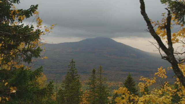 A picturesque view of the Southern Ural Mountains during the autumn season, with coniferous and deciduous trees displaying vibrant yellow and green foliage under a cloudy sky.