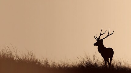 Majestic Stag Silhouette Grazing in Tall Grass Against a Sepia Sky Wildlife Photography