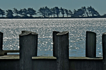 Pier pilings abstract. Bodega Bay, California 