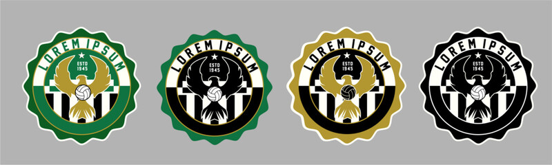 Professional Football Club Logo with Eagle Symbol
