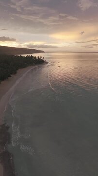Vista a&eacute;rea de Playa Sublime y Playa Cos&oacute;n, costa virgen con palmeras en Las Terrenas, Saman&aacute; caballo en la playa