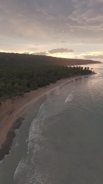 Vista a&eacute;rea de Playa Sublime y Playa Cos&oacute;n, costa virgen con palmeras en Las Terrenas, Saman&aacute; caballo en la playa