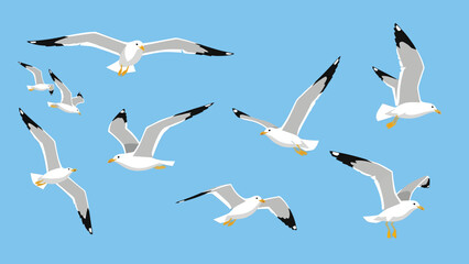 Fototapeta premium Flock of seagulls flying in the sky