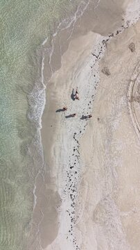 Aerial view of Playa Bonita with leaning palm trees and crystal clear waters, Las Terrenas, Samana.