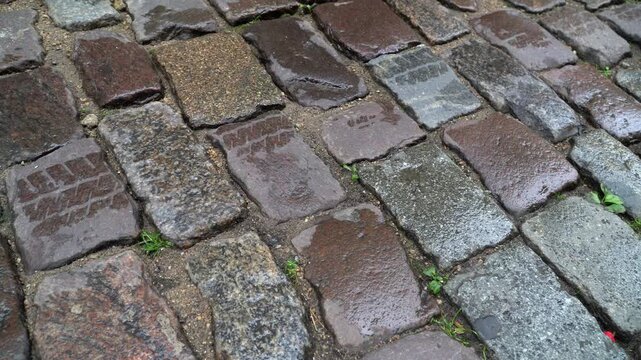 A wet cobblestone paved street, close-up video capture.